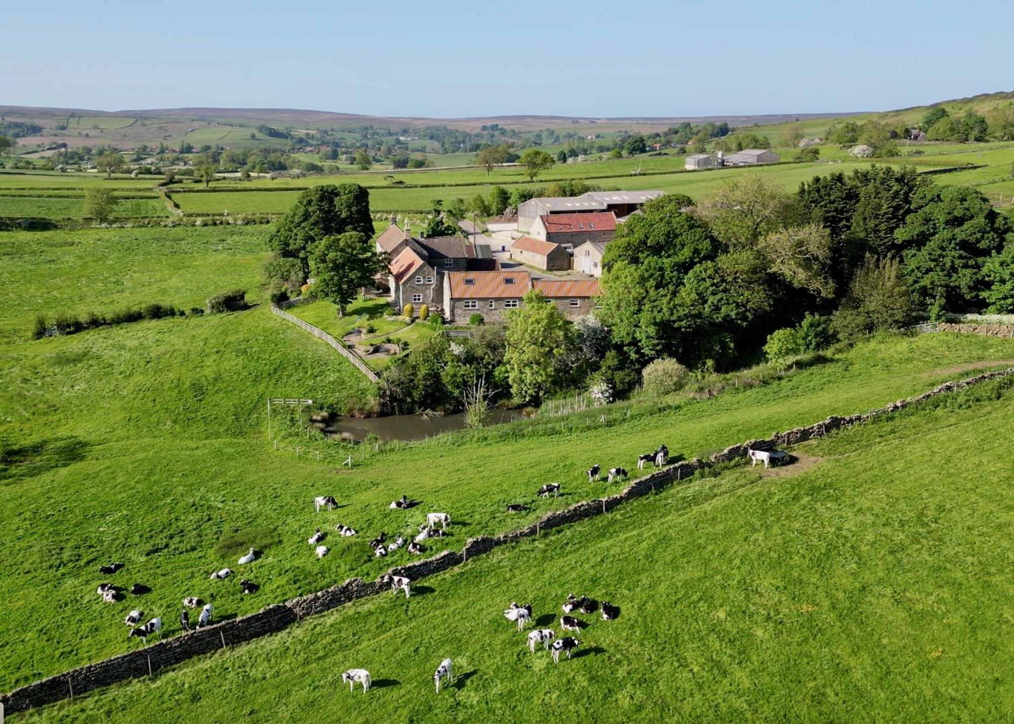 Church House Farm Danby Exteriör bild